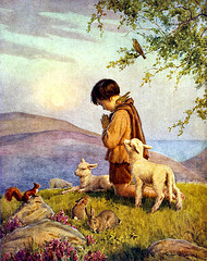boy with sheep