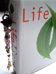 book of life