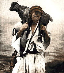 lamb on shoulders