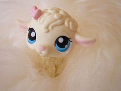 sweet sheep