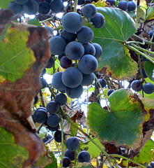 1375728728_b6076ad25b_m