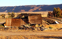 2780439042_d55e1e08cf_m