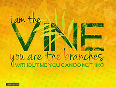 7121315037_66f555e79d_m (1)