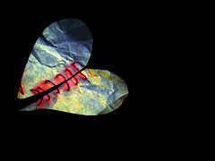 3771942371_b66d497103_m